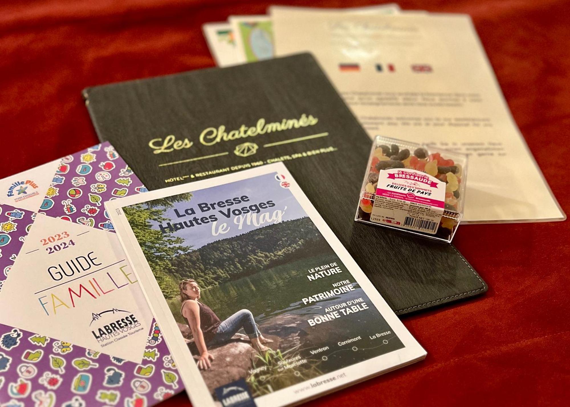 Logis Hotel, Chalets Et Restaurant Les Chatelmines Ла-Бресс Екстер'єр фото