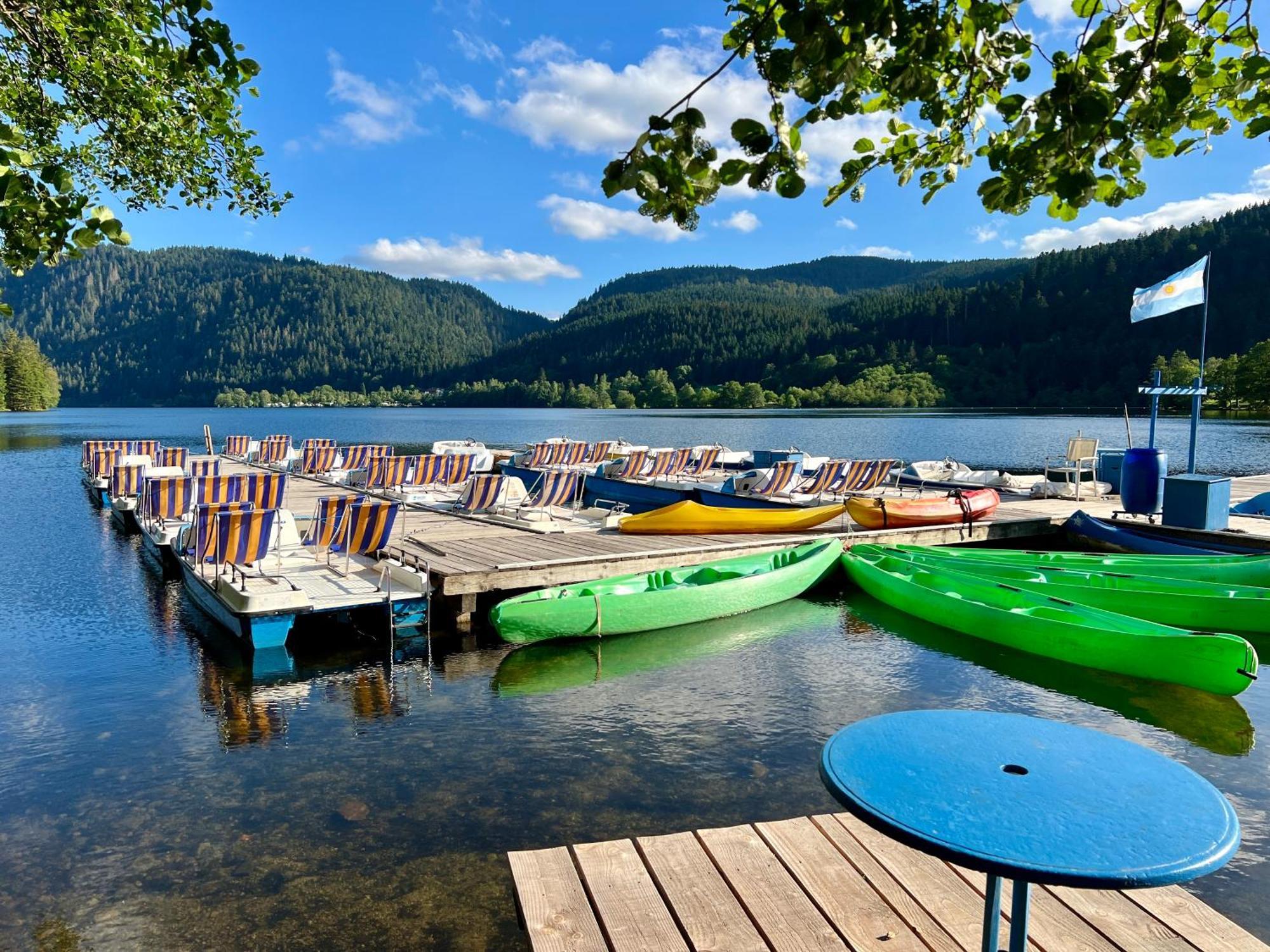 Logis Hotel, Chalets Et Restaurant Les Chatelmines Ла-Бресс Екстер'єр фото