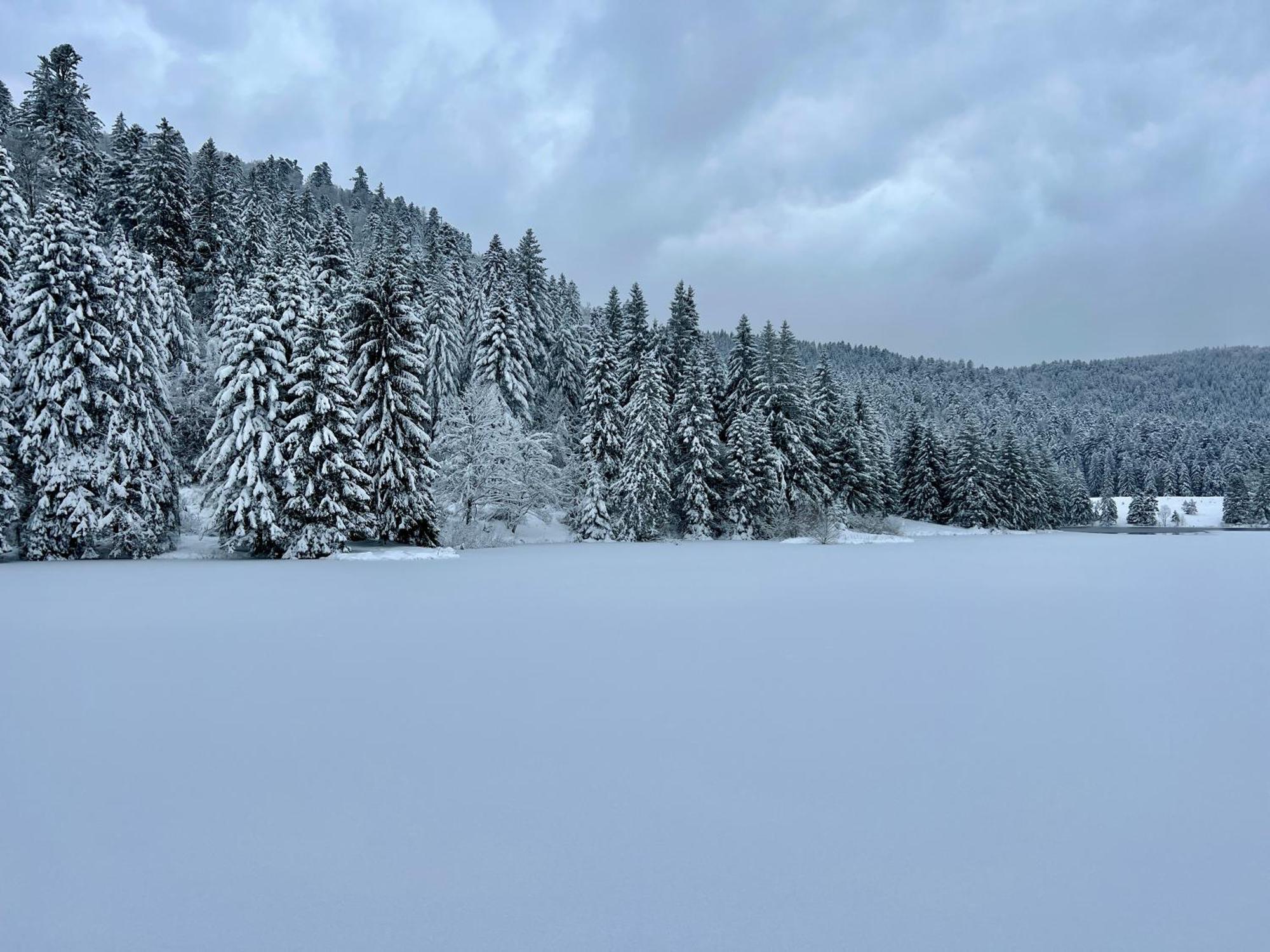 Logis Hotel, Chalets Et Restaurant Les Chatelmines Ла-Бресс Екстер'єр фото